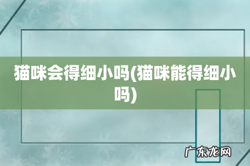 猫咪能得细小吗 猫咪会得细小吗