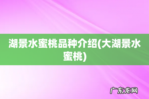 大湖景水蜜桃 湖景水蜜桃品种介绍