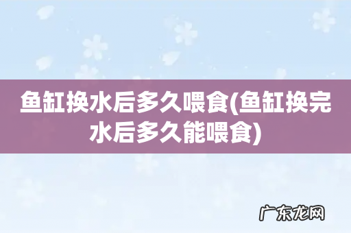 鱼缸换完水后多久能喂食 鱼缸换水后多久喂食