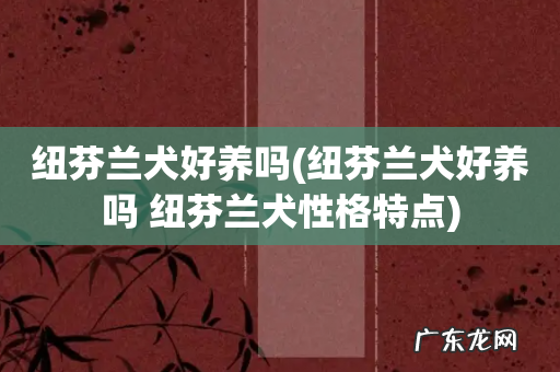 纽芬兰犬好养吗 纽芬兰犬性格特点 纽芬兰犬好养吗