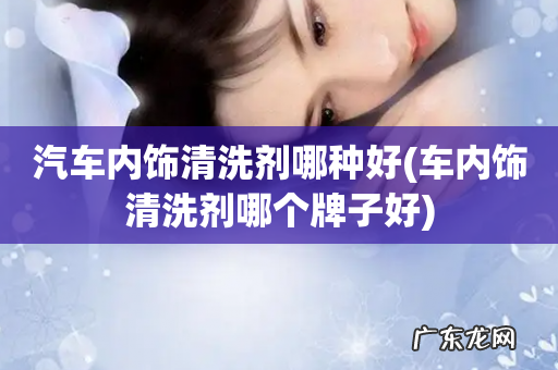 车内饰清洗剂哪个牌子好 汽车内饰清洗剂哪种好