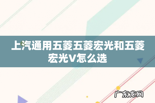上汽通用五菱五菱宏光和五菱宏光V怎么选