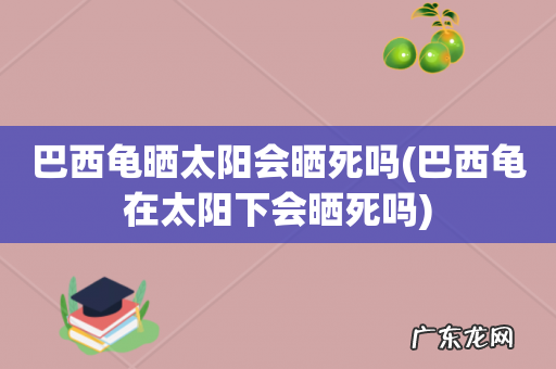巴西龟在太阳下会晒死吗 巴西龟晒太阳会晒死吗