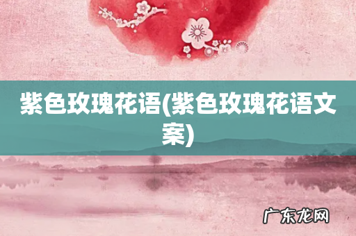 紫色玫瑰花语文案 紫色玫瑰花语