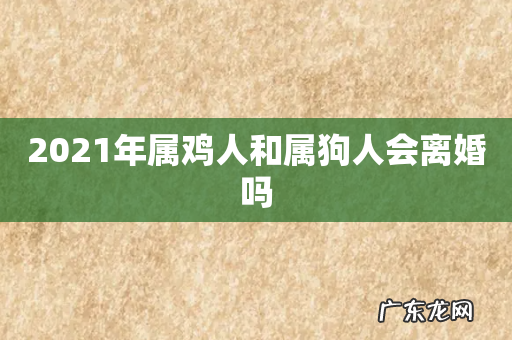 2021年属鸡人和属狗人会离婚吗
