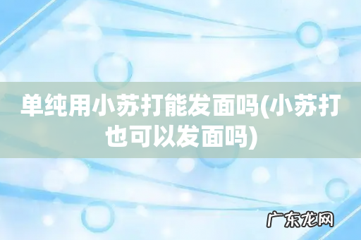 小苏打也可以发面吗 单纯用小苏打能发面吗