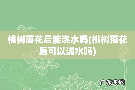 桃树落花后可以浇水吗 桃树落花后能浇水吗