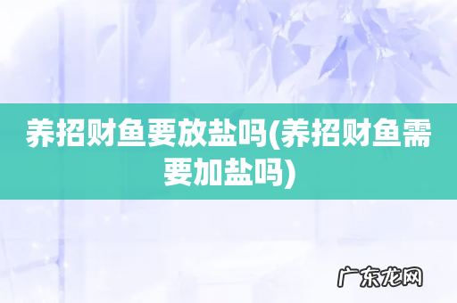 养招财鱼需要加盐吗 养招财鱼要放盐吗