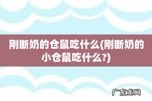 刚断奶的小仓鼠吃什么? 刚断奶的仓鼠吃什么