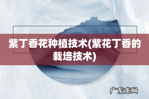 紫花丁香的栽培技术 紫丁香花种植技术