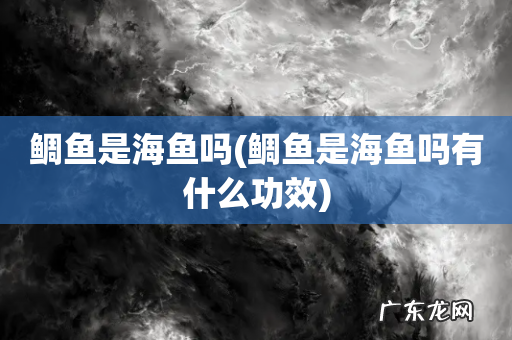 鲷鱼是海鱼吗有什么功效 鲷鱼是海鱼吗