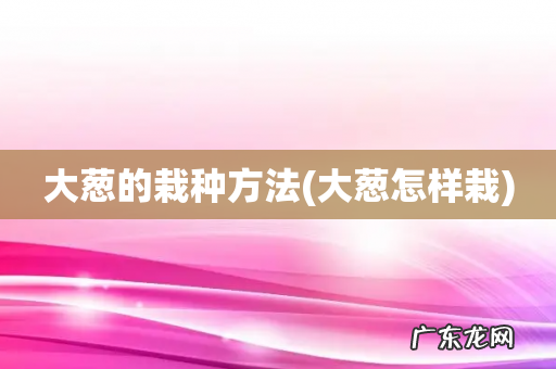大葱怎样栽 大葱的栽种方法