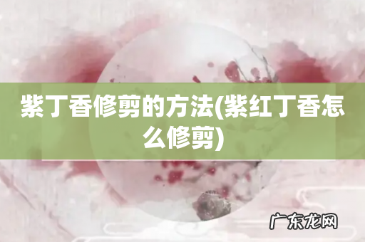 紫红丁香怎么修剪 紫丁香修剪的方法