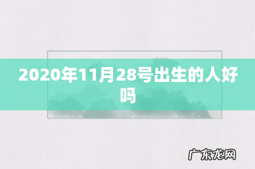 2020年11月28号出生的人好吗