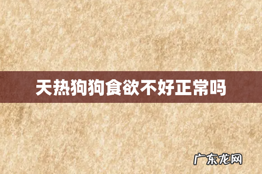 天热狗狗食欲不好正常吗