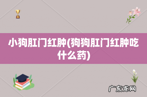 狗狗肛门红肿吃什么药 小狗肛门红肿