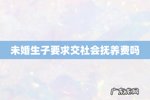 未婚生子要求交社会抚养费吗