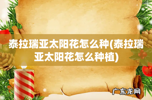 泰拉瑞亚太阳花怎么种植 泰拉瑞亚太阳花怎么种