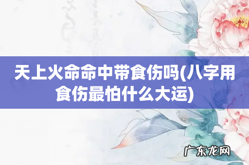 八字用食伤最怕什么大运 天上火命命中带食伤吗
