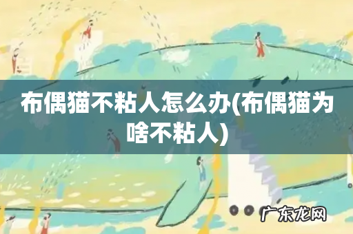 布偶猫为啥不粘人 布偶猫不粘人怎么办
