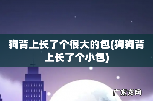 狗狗背上长了个小包 狗背上长了个很大的包