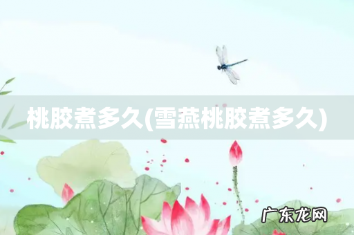 雪燕桃胶煮多久 桃胶煮多久