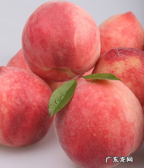 水蜜桃的好处 水蜜桃的功效与作用禁忌