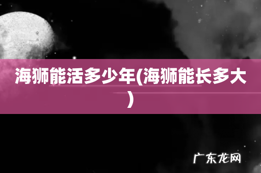 海狮能长多大 海狮能活多少年