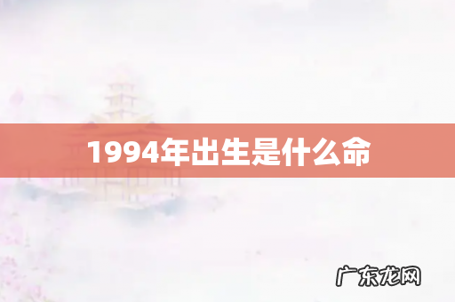 1994年出生是什么命