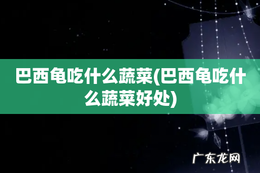 巴西龟吃什么蔬菜好处 巴西龟吃什么蔬菜