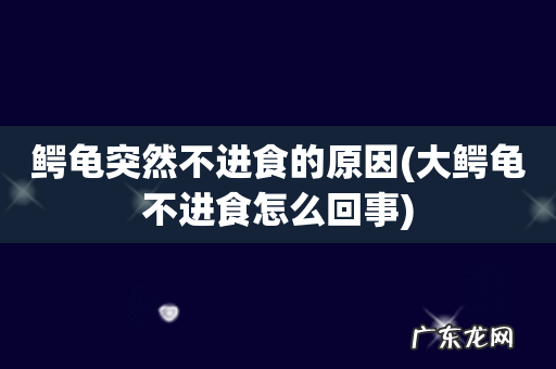 大鳄龟不进食怎么回事 鳄龟突然不进食的原因