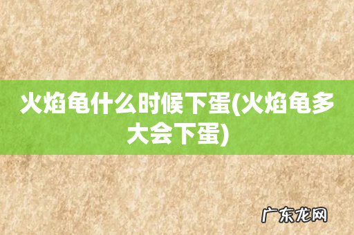 火焰龟多大会下蛋 火焰龟什么时候下蛋