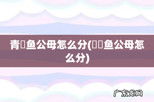 鳑鲏鱼公母怎么分 青鳉鱼公母怎么分