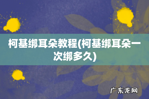 柯基绑耳朵一次绑多久 柯基绑耳朵教程