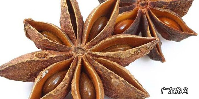 八角为什么叫八角 八角是什么意思