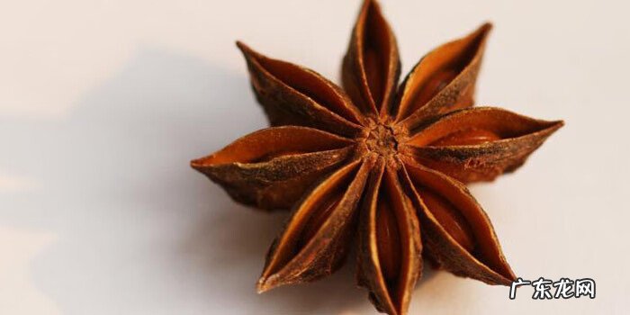 八角为什么叫八角 八角是什么意思