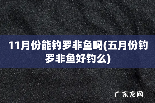 五月份钓罗非鱼好钓么 11月份能钓罗非鱼吗