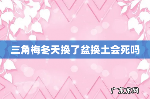 三角梅冬天换了盆换土会死吗