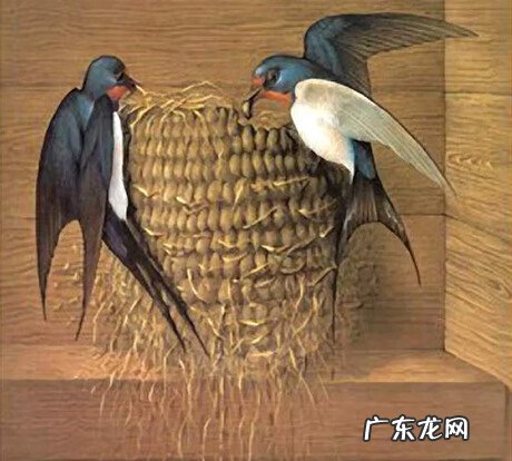 燕子图有什么风水寓意 燕子和风水