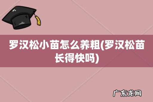 罗汉松苗长得快吗 罗汉松小苗怎么养粗