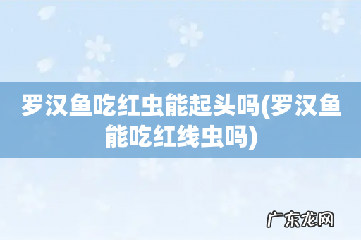 罗汉鱼能吃红线虫吗 罗汉鱼吃红虫能起头吗