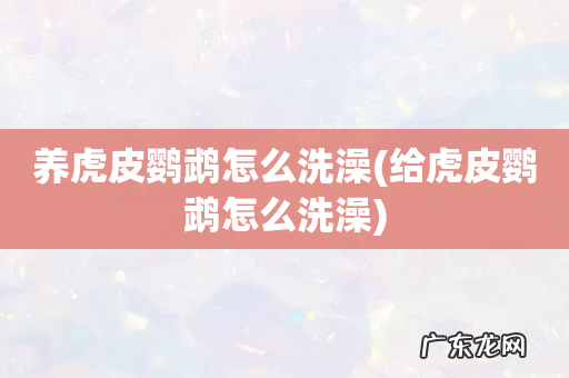 给虎皮鹦鹉怎么洗澡 养虎皮鹦鹉怎么洗澡