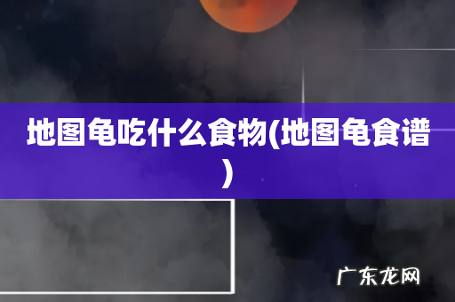 地图龟食谱 地图龟吃什么食物