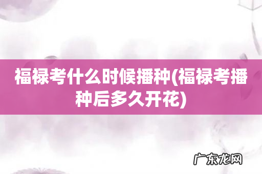 福禄考播种后多久开花 福禄考什么时候播种