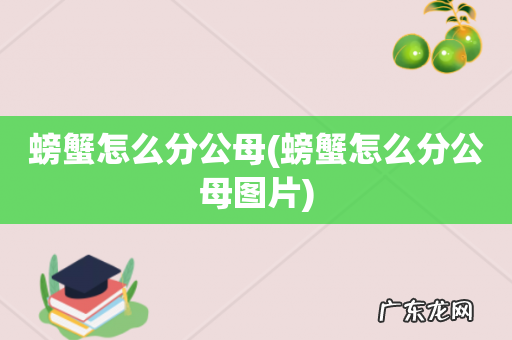 螃蟹怎么分公母图片 螃蟹怎么分公母