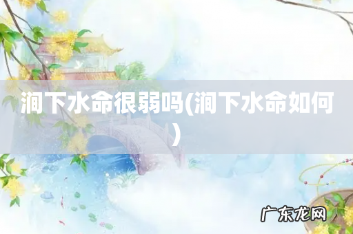 涧下水命如何 涧下水命很弱吗