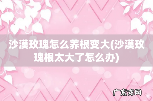 沙漠玫瑰根太大了怎么办 沙漠玫瑰怎么养根变大