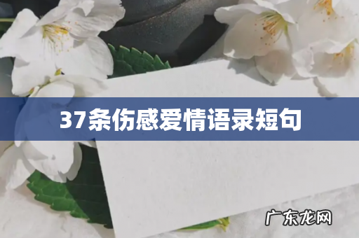 37条伤感爱情语录短句