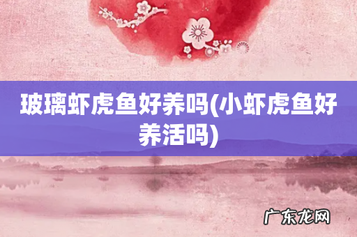 小虾虎鱼好养活吗 玻璃虾虎鱼好养吗