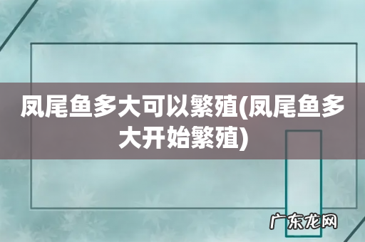 凤尾鱼多大开始繁殖 凤尾鱼多大可以繁殖